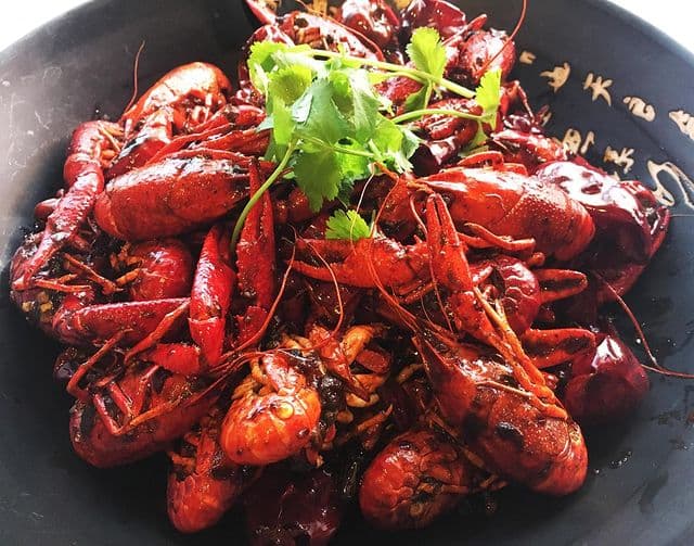 Restaurant review photo